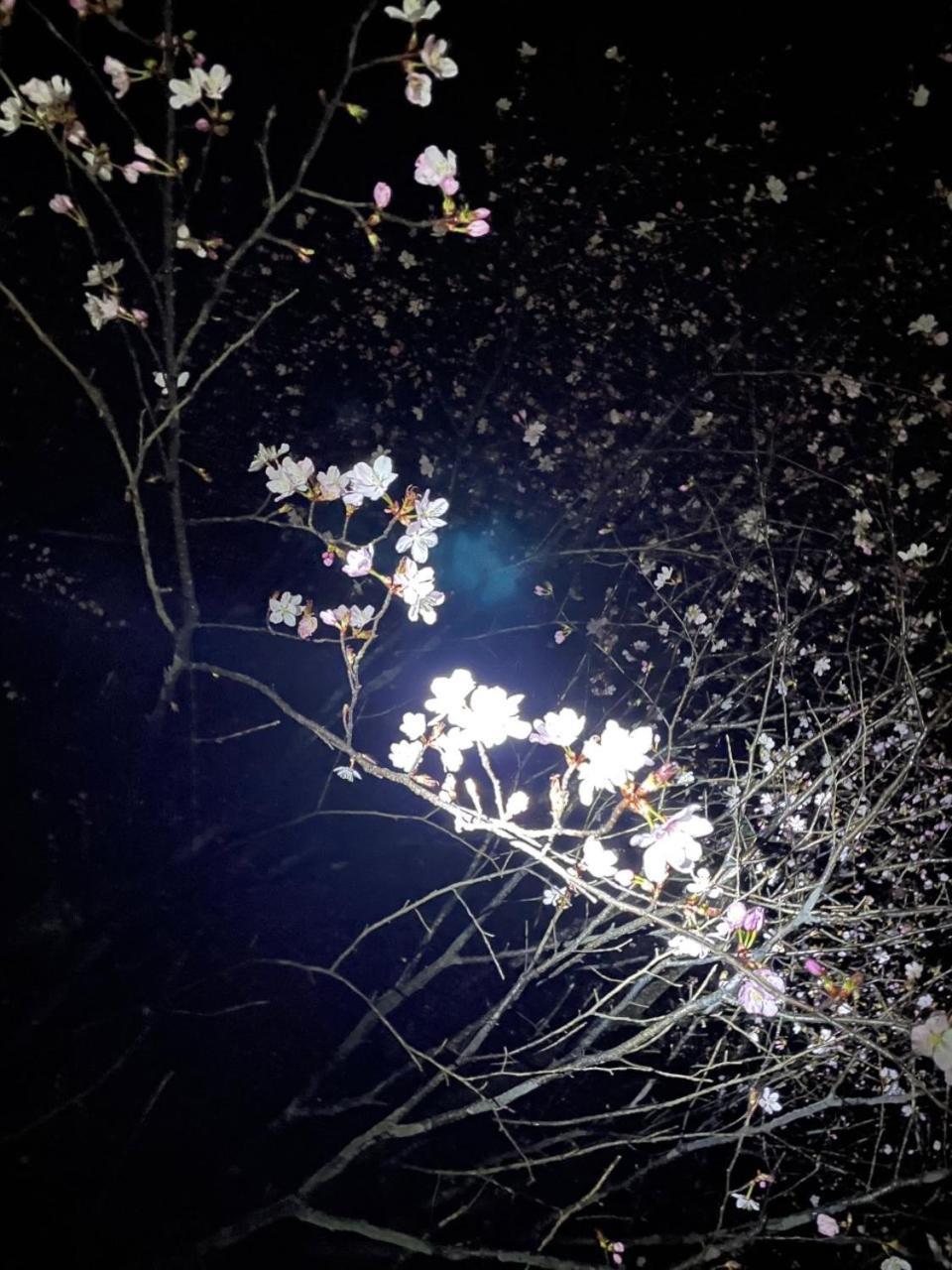ホテル Kinugawa Keisui 日光市 エクステリア 写真