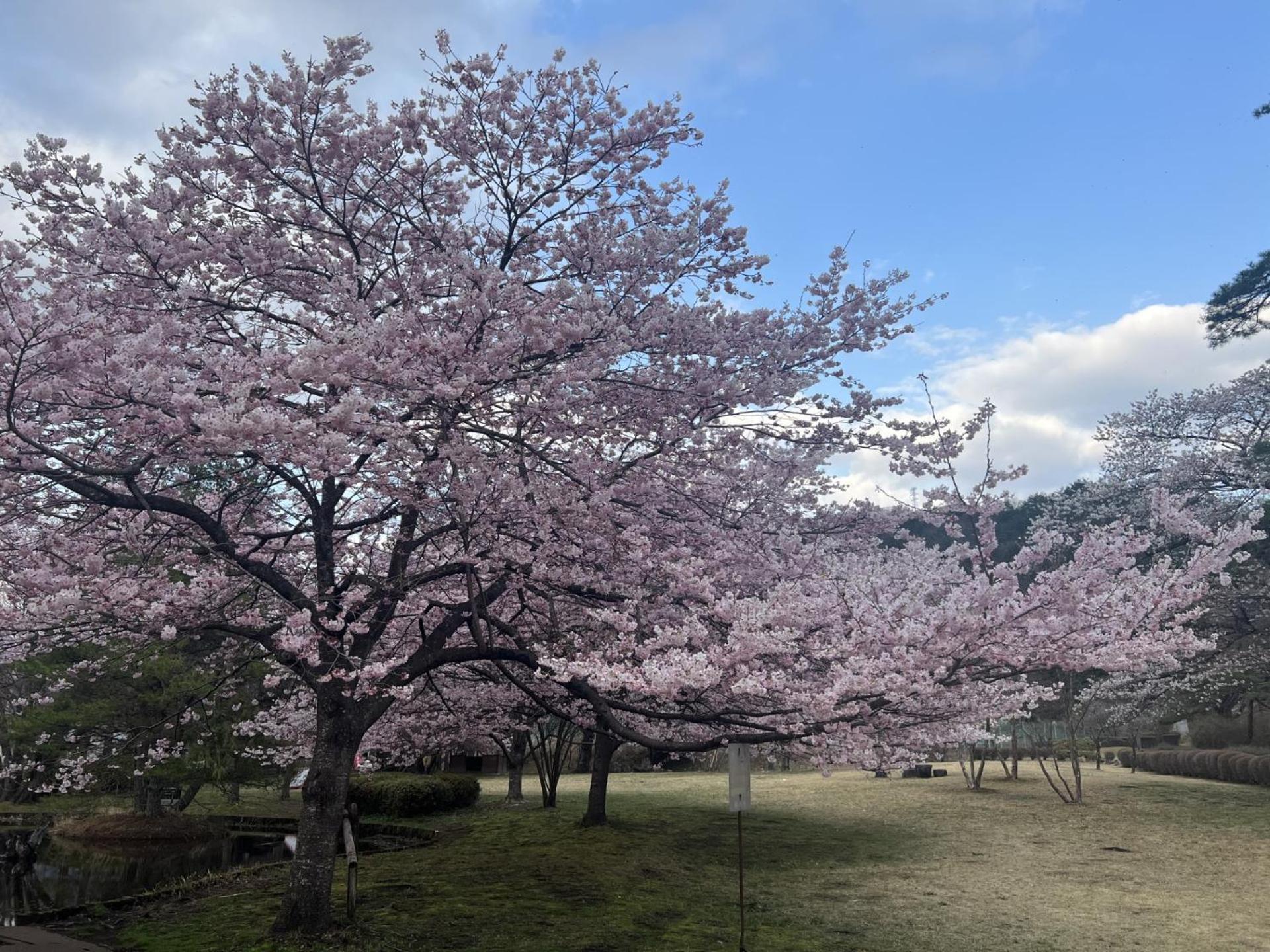 ホテル Kinugawa Keisui 日光市 エクステリア 写真